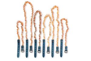 Twin Pack - Nautical Amber Collar